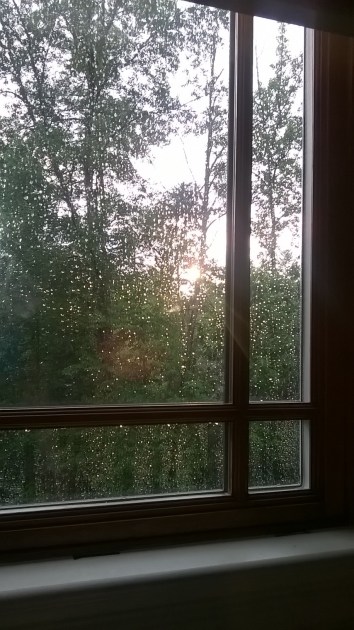 WP_20150616_20_05_37_Pro